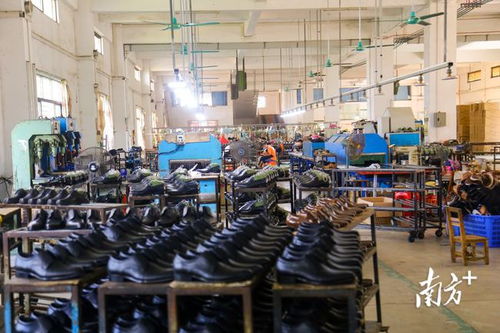 10个热词解读茂名政府工作报告中的民生温度